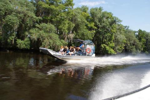 See The Swamps At High Speed On A Thrilling Airboat Swamp Tour Near New Orleans