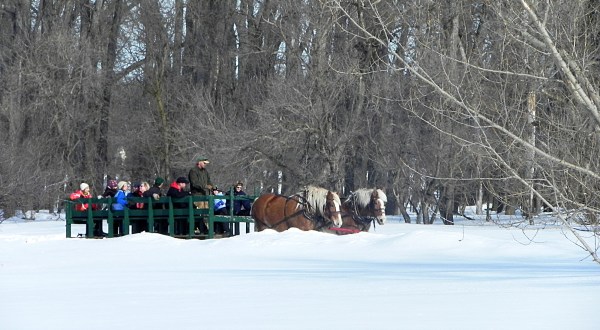 Enjoy Horse-Drawn Carriage Rides, S’mores, And Fun In The Snow At This North Dakota Winterfest