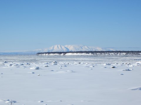 Take A Winter Stroll On The Tony Knowles Coastal Trail, A Charming Hike In Downtown Anchorage, Alaska