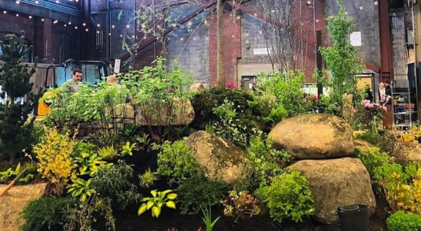 Walk Through A Sea Of Flowers At The Maine Flower Show’s Cascade Of Color