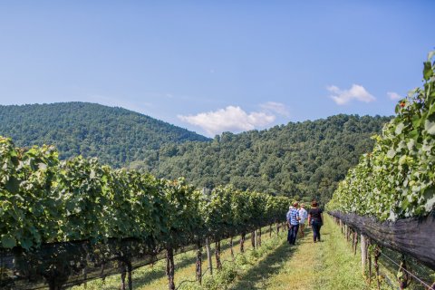 The Piedmont Region Of Virginia Was Recently Named Among The Best Wine Destinations In The World