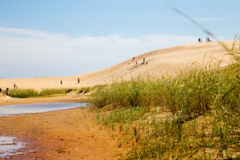 The Living Sand Dunes In North Carolina's Jockey's Ridge State Park Look Like Something From Another Planet