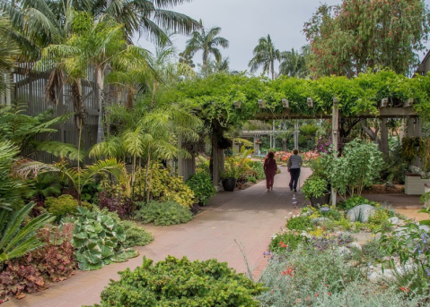 Stroll Through A Horticultural Oasis This Spring At Sherman Library And Gardens In Southern California