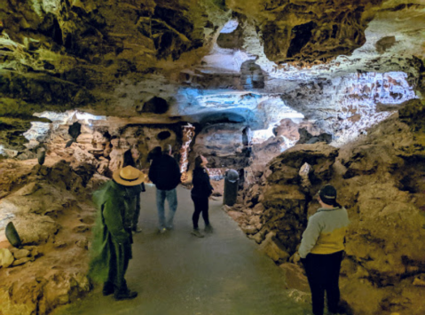 One Of The Oldest National Parks In The U.S., Wind Cave In South Dakota Has Been Open Since 1903