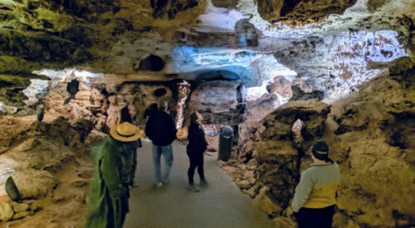 One Of The Oldest National Parks In The U.S., Wind Cave In South Dakota Has Been Open Since 1903