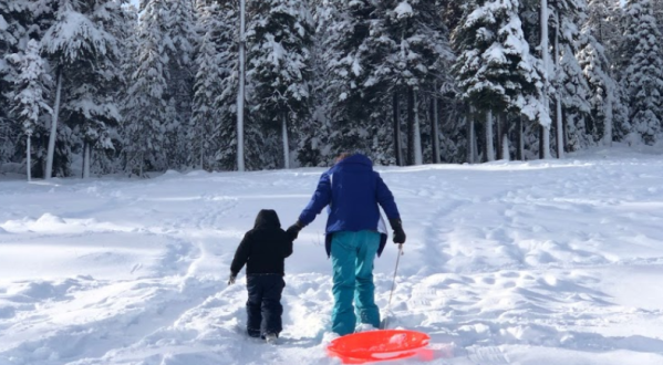 Slide, Sled, And Play In The Snow All Day At Wanoga Snow Play Area In Oregon
