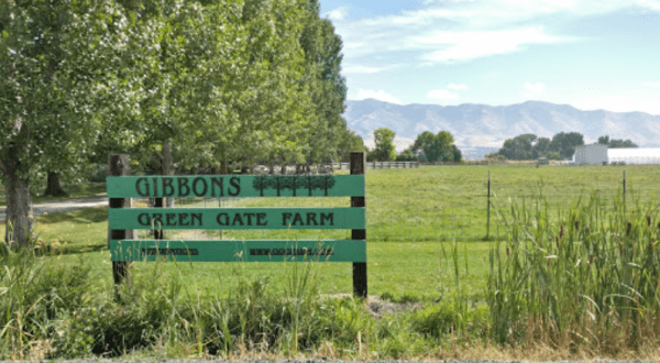 Tucked Away In A Utah Farm, Gibbons’ Green Gate Is A Gorgeous Restaurant With Unforgettable Food
