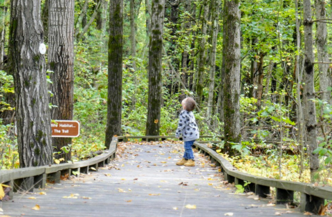 The Great Bay National Wildlife Refuge Has Endless Boardwalks And You'll Want To Explore Them All