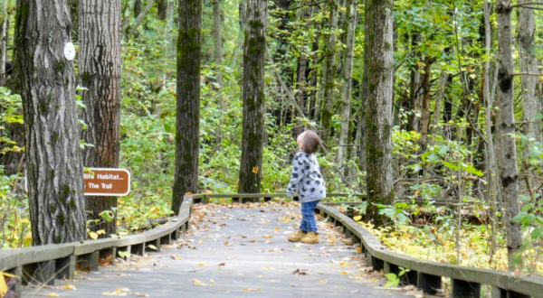 The Great Bay National Wildlife Refuge Has Endless Boardwalks And You’ll Want To Explore Them All