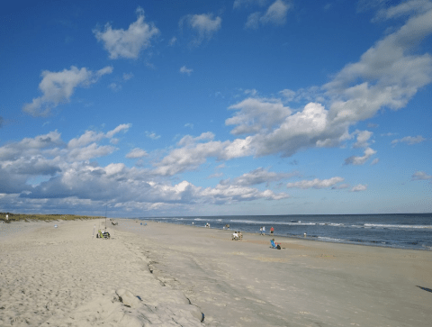 The South Carolina Oceanfront Park, Huntington Beach State Park, Is One You Won't Be Able To Pass Up