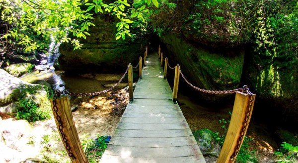 Take An Easy Out-And-Back Trail To Enter Another World At Dismals Canyon In Alabama