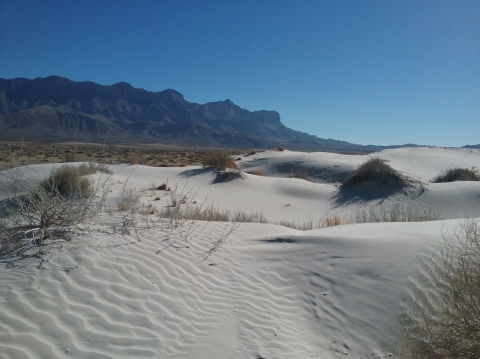 Hike Through Over 2,000 Acres Of White Sand Dunes At Guadalupe Mountains National Park In Texas