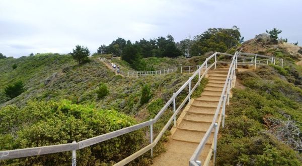 Hike The Owl Trail In Northern California For A Chance To Spot Numerous Great Horned Owls