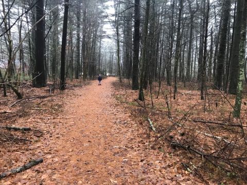 Jerimoth Hill Is The Greatest Mountain Hiking Trail In Rhode Island For Beginners