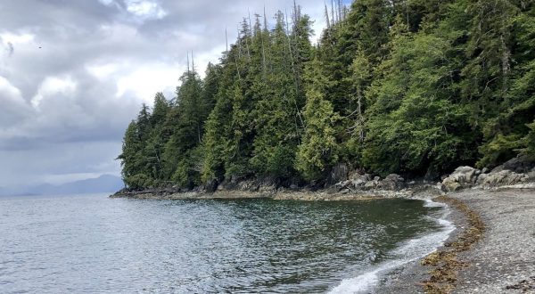 Traipse Through A Rainforest To Get To A Secluded Beach In Alaska On The Coast Guard Beach Trail