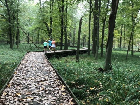 The Maumee Bay Trail Is A Boardwalk Hike In Ohio That Leads To Gorgeous Wetlands
