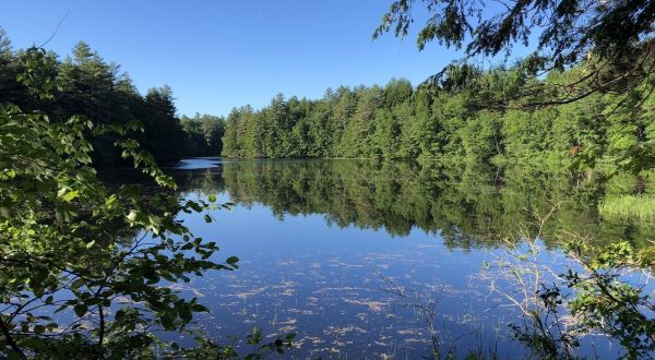 Take An Easy Loop Trail To Enter Another World At The Kezar River Preserve In Maine