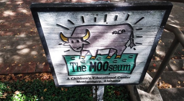 The MOOseum Is A Quirky Museum That Celebrates Alabama’s Cattle Farming