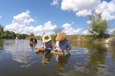 Take The Florida Fossil Expedition Tour On The Peace River To Hunt For Real Fossils