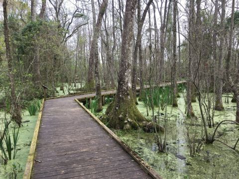 These 9 Secluded Trails In Louisiana Are Just Waiting To Be Explored