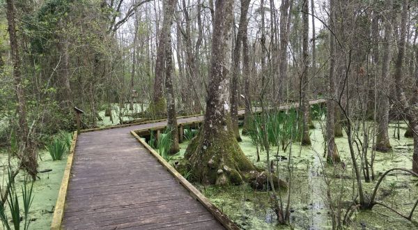 These 9 Secluded Trails In Louisiana Are Just Waiting To Be Explored