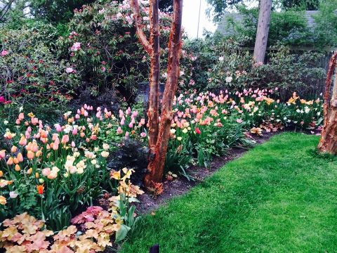 Sakonnet Garden Is A Hidden Gem In Rhode Island That Blossoms In The Spring