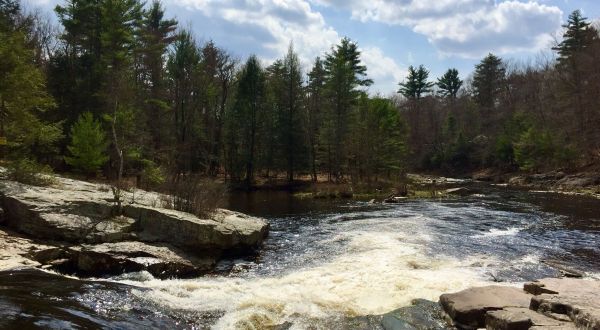 Be In Awe Of The Natural Beauty Found On This Short, Secluded Hike In Pennsylvania’s Blakeslee Natural Area