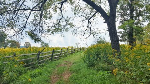 Visit Sky Meadows State Park, An Idyllic Isolated Spot In Virginia For People Who Hate Crowds