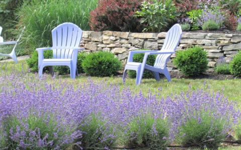 Get Lost In This Beautiful Multi-Acre Lavender Farm In New Hampshire