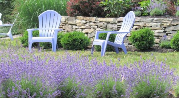 Get Lost In This Beautiful Multi-Acre Lavender Farm In New Hampshire