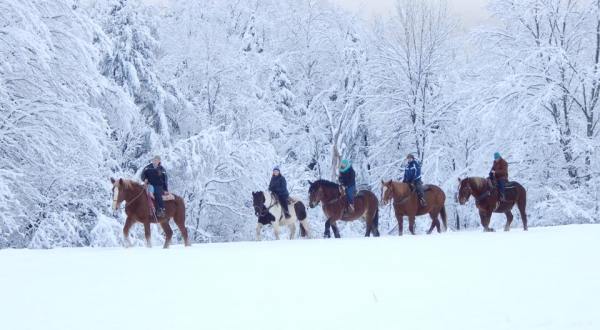 Go On A Breathtakingly Beautiful Horseback Riding Tour In Lajoie Stables In Vermont