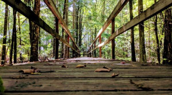 The Bluff Lake Boardwalk In Mississippi Leads To Incredibly Scenic Views
