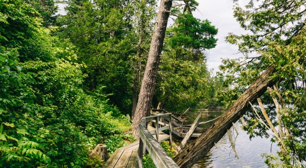 The Tell Lake Boardwalk Hike In Minnesota Leads To Incredibly Scenic Views