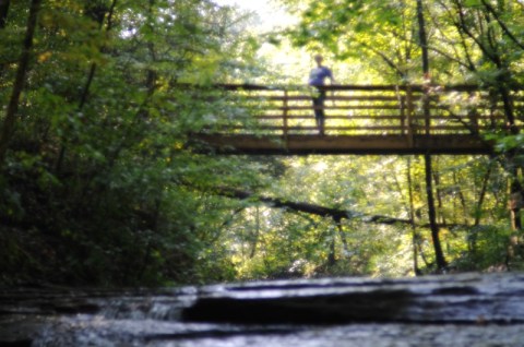 Beaman Park In Nashville Is One Of The Most Stunning Lesser-Known Places In The City