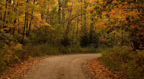 The 10 Best Backroads In Minnesota For A Long Scenic Drive