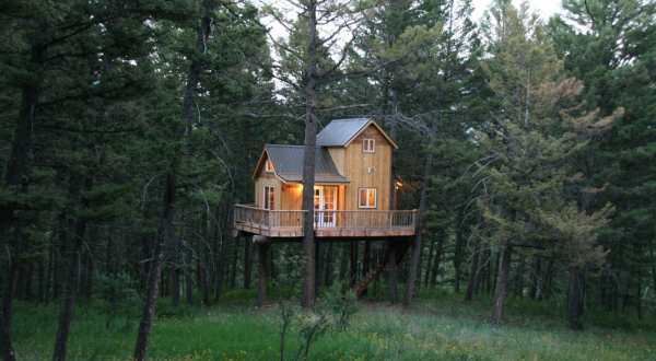 Papa’s Treehouse In Bridger Canyon In Montana Let You Glamp In Style