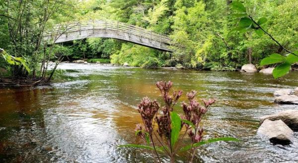 Take A Journey Through This McClintock County Park, A One-Of-A-Kind Bridge Park In Wisconsin