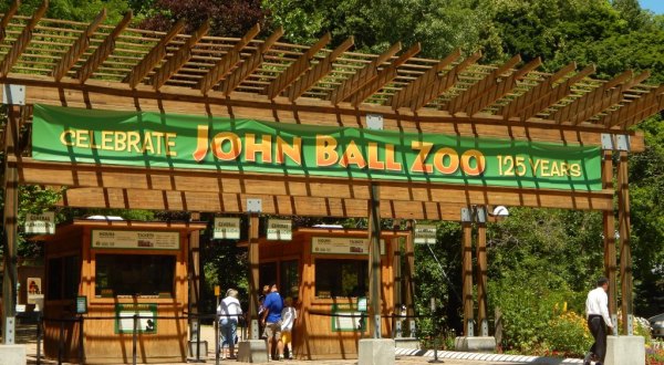 Take A Thrilling Flight On The John Ball Zoo Zipline In Michigan