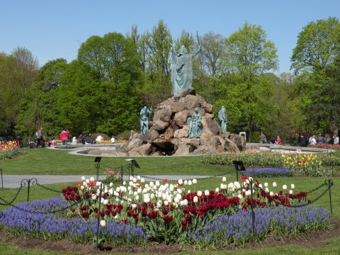 The Albany Tulip Festival In New York Was Just Named One Of The Best In The Country