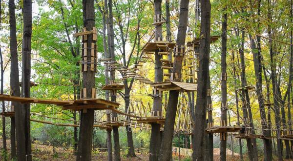 The Adventure Park At Nashville Is The Perfect Way To Experience The Outdoors This Spring