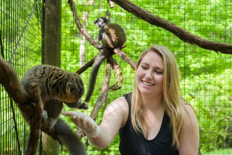 Play With Sloths and Kangaroos At Oglebay Good Zoo In West Virginia For An Adorable Adventure
