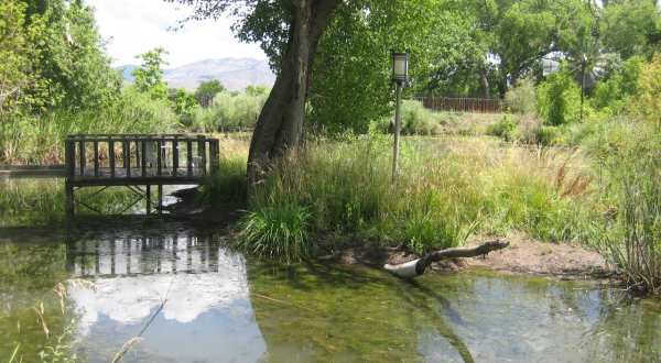 Stay In A Charming New Mexico Cottage With Its Own Pond