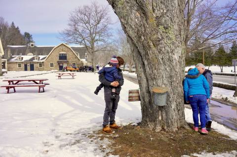 Spend Your March Sundays Maple Sugaring At The Farmers' Museum In New York