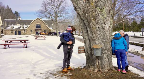 Spend Your March Sundays Maple Sugaring At The Farmers’ Museum In New York