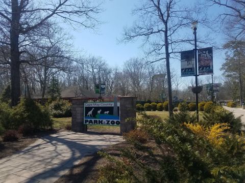 Admission-Free, The Cape May Zoo In New Jersey Is The Perfect Day Trip Destination