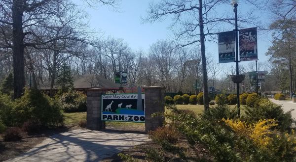 Admission-Free, The Cape May Zoo In New Jersey Is The Perfect Day Trip Destination