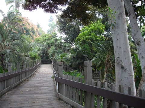 The Hidden Palm Tree Canyon Inside This Urban Southern California Park Is The Most Delightful Surprise