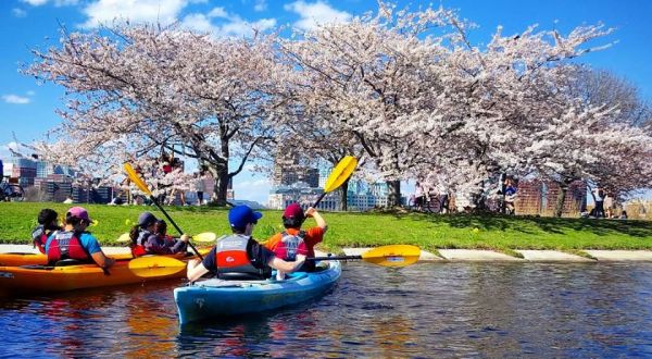 Spend An Afternoon Taking A Delightful Kayak Paddling Tour Through Boston In Massachusetts This Summer