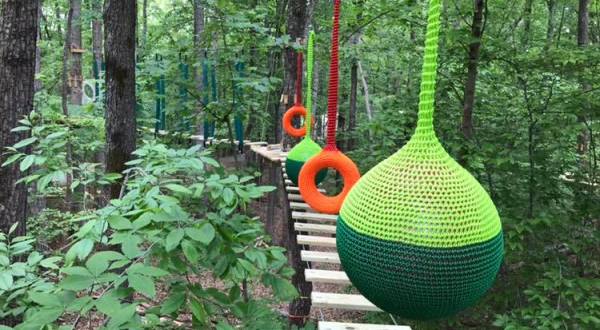 With Rental Cabins And A Treetop Walk, Explore Park In Virginia Will Bring Out Your Inner Adventurer