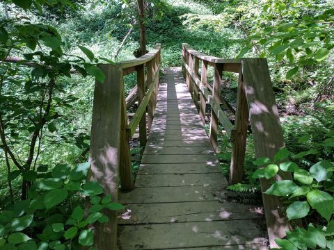 Take An Easy Loop Trail To Enter Another World At Mineral Springs Trail In Pennsylvania